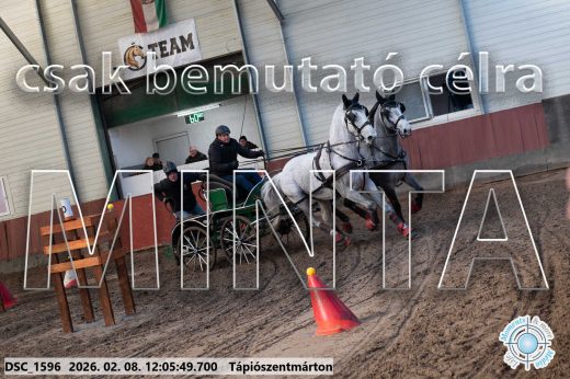 Mintakép 20260208-178