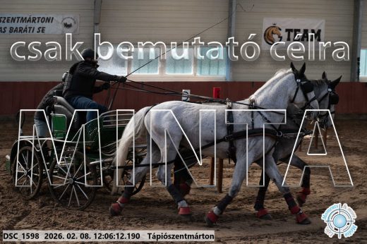 Mintakép 20260208-180