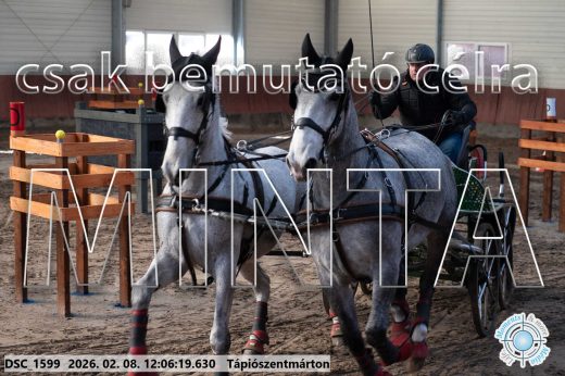Mintakép 20260208-181