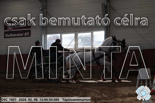 Mintakép 20260208-183
