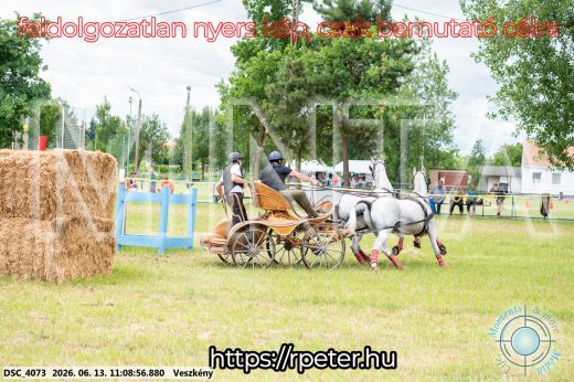 Mintakép 20260613-525