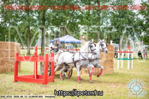 Mintakép 20260613-527