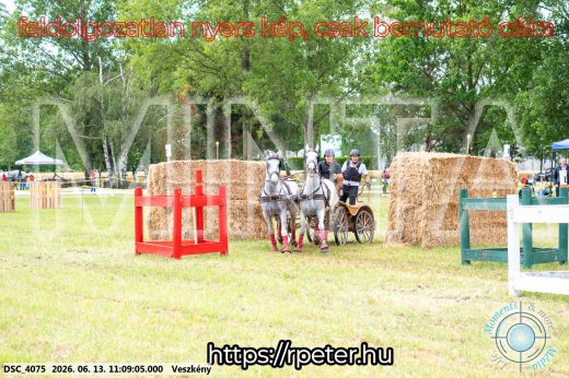 Mintakép 20260613-528