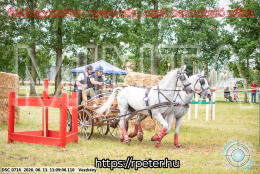 Mintakép 20260613-529
