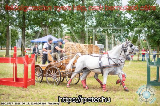 Mintakép 20260613-530