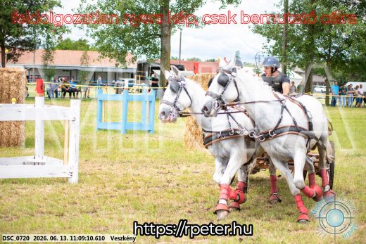 Mintakép 20260613-535