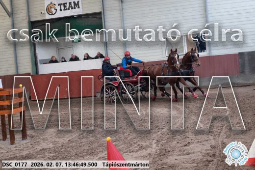 Mintakép 20260207-179