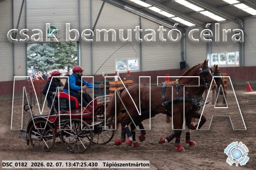 Mintakép 20260207-182