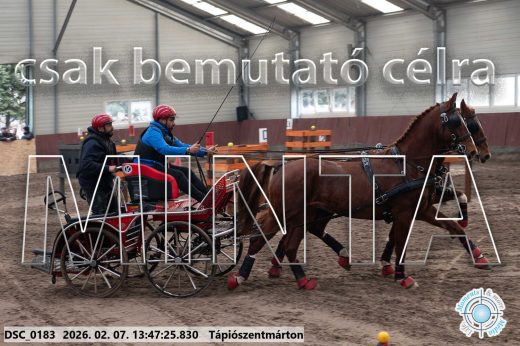 Mintakép 20260207-183