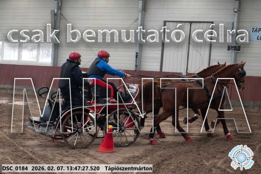 Mintakép 20260207-184