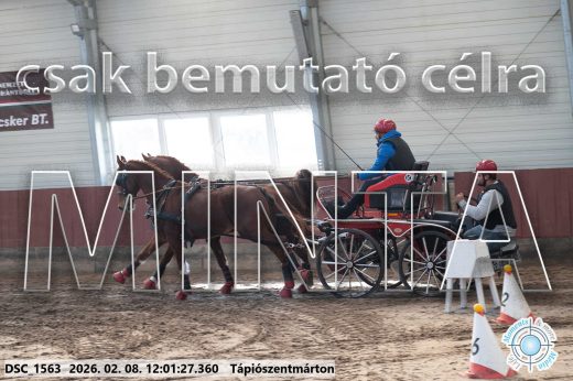 Mintakép 20260208-266