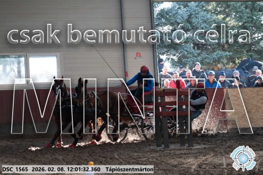 Mintakép 20260208-268