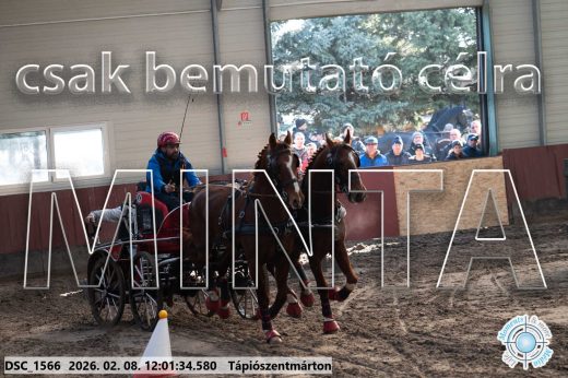 Mintakép 20260208-269
