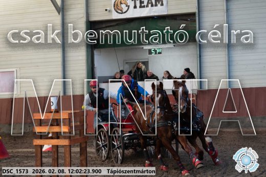 Mintakép 20260208-276