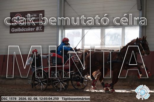 Mintakép 20260208-281