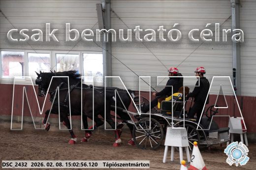 Mintakép 20260208-288