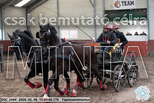 Mintakép 20260208-299