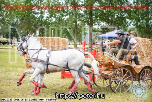 Mintakép 20260613-543