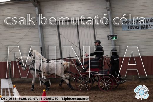 Mintakép 20260207-196