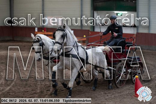Mintakép 20260207-213