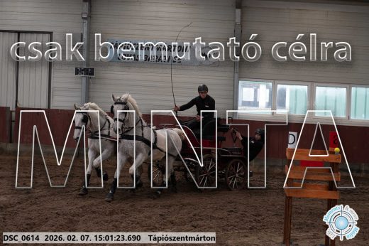Mintakép 20260207-215