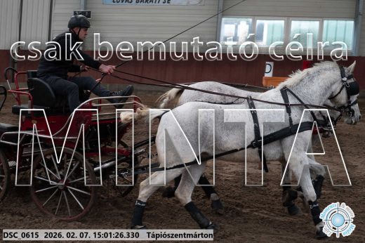 Mintakép 20260207-216