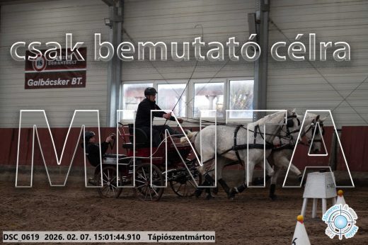 Mintakép 20260207-218