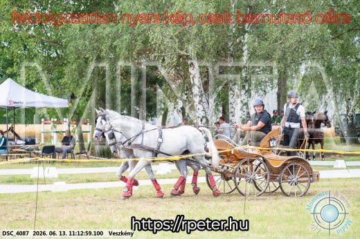 Mintakép 20260613-546