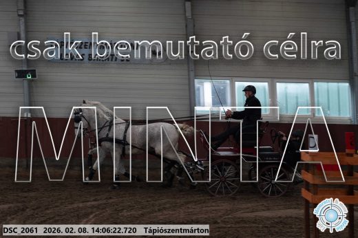 Mintakép 20260208-312