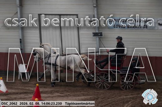 Mintakép 20260208-313