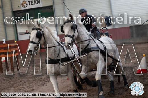 Mintakép 20260208-320