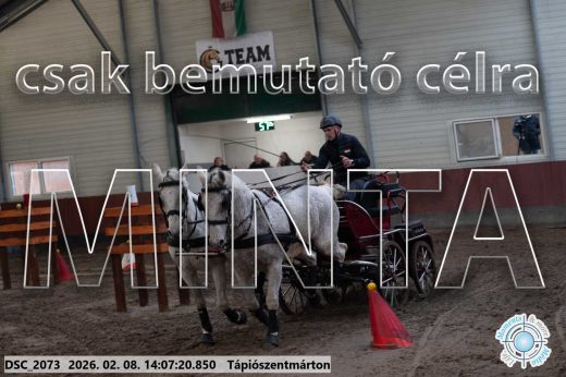 Mintakép 20260208-324