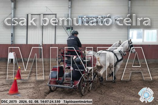 Mintakép 20260208-325