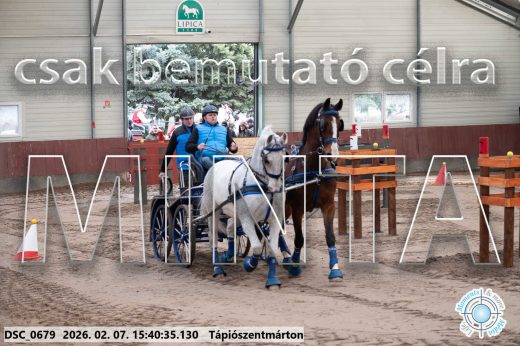 20260207-154035-DSC_0679.jpg