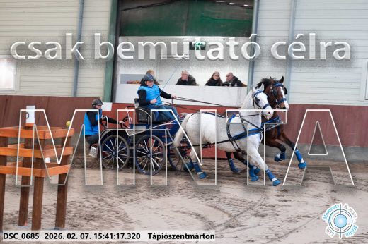 Mintakép 20260207-224