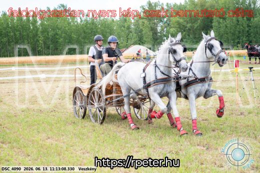 Mintakép 20260613-549