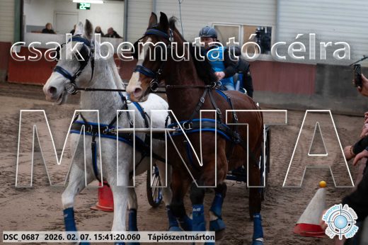 Mintakép 20260207-226