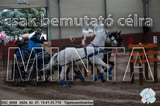 Mintakép 20260207-227