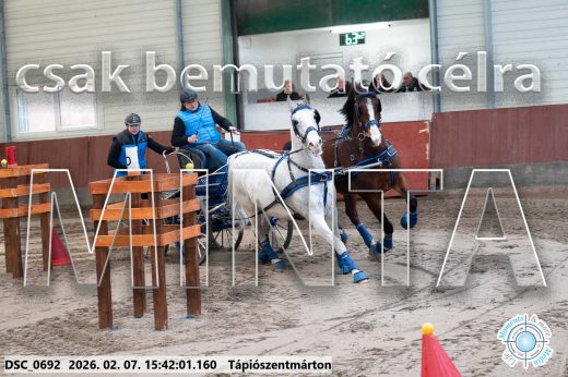 Mintakép 20260207-231