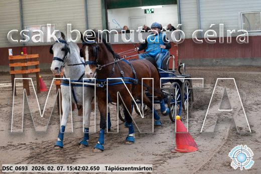 Mintakép 20260207-232