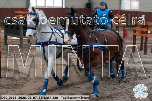Mintakép 20260207-234