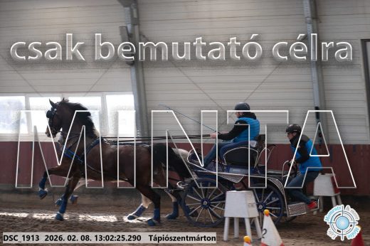 Mintakép 20260208-335