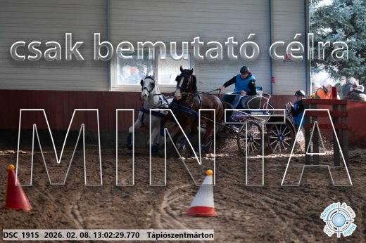 Mintakép 20260208-337