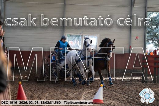 Mintakép 20260208-338