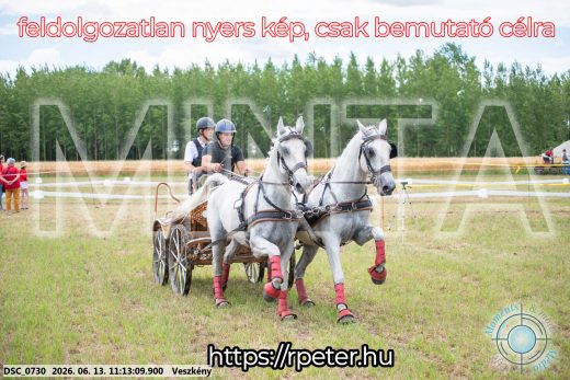 Mintakép 20260613-551