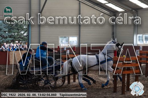 Mintakép 20260208-343