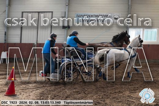 Mintakép 20260208-344