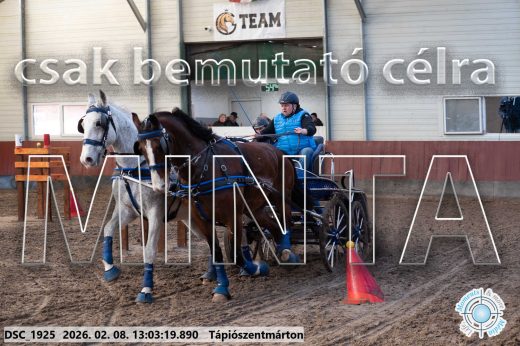 Mintakép 20260208-345