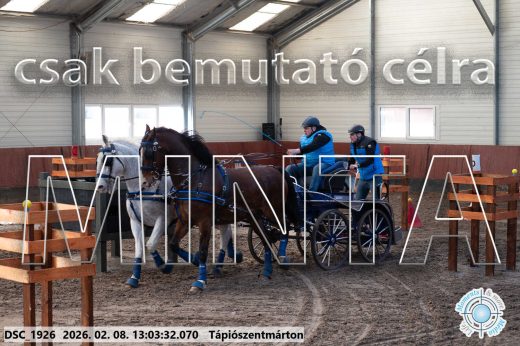 Mintakép 20260208-346