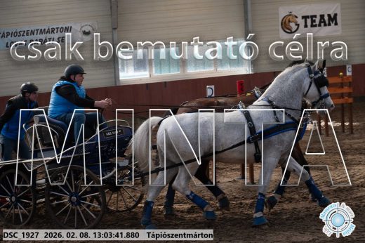 Mintakép 20260208-347